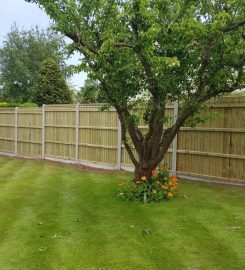 Albion Fencing & Construction Kent